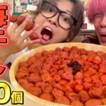 【大食い】梅干し大好きマンだったら100個くらい余裕で食べれちゃうでしょ！！！