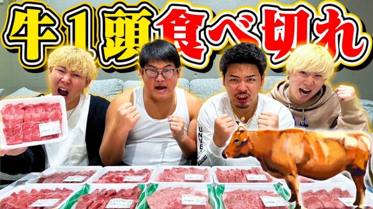 【超大食い】全員で「牛１頭」のお肉食べ切るまで帰れません！！！がキツすぎワロタwww