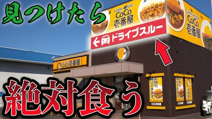 ドライブスルースルーできません！が限界大食いに挑戦！【マクドナルド、吉野家、CoCo壱、すき家】