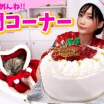 【メリークリスマス】愛する家族と過ごすクリスマス♡ケーキを食べながら質問に答えるよ！【木下ゆうか】