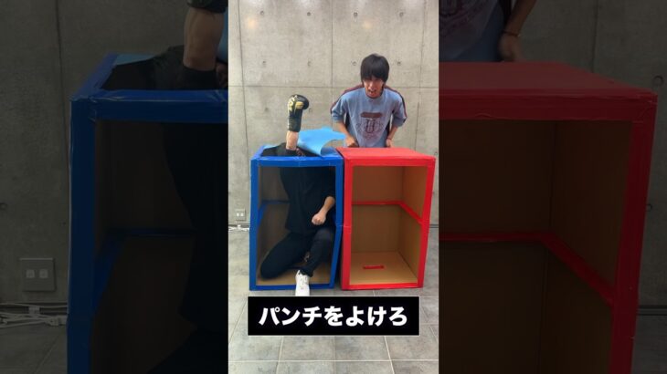 【危険】ボックスパンチチャレンジ🤜wwwwww