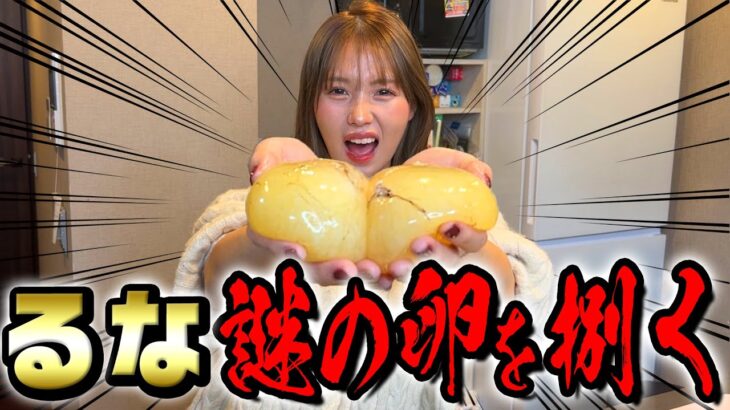 【なにこれ】謎のキモ卵を苦手なるなに料理させてみたらとんでもない結果になったwwwwwwww