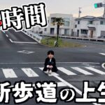 【危険】24時間横断歩道の上で生活してみたwwwww