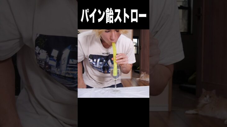 パイン飴をストローにする男(=´∀｀) PDS  #shorts