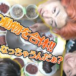 １７種類の肉を混ぜたハンバーグの味は何肉味になる！？