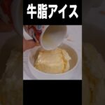 スーパーカップに牛脂混ぜたらハーゲンダッツだと！？∑(ﾟДﾟ) PDS #shorts