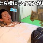 【おふざけ禁止】日本一危険な動物園が本当に危なかった。