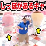 クレーンゲーム1万円でしっぽがあるキャラ限定で限界取りしたら一体何個取れるのか?!