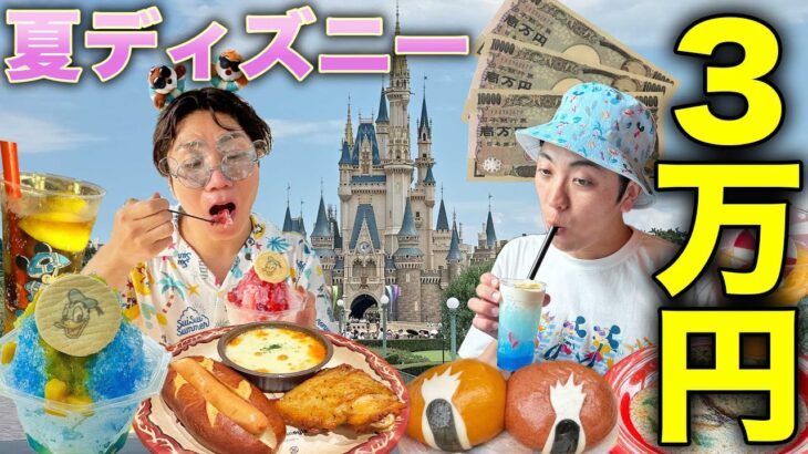 【爆食】ディズニーランドで3万円使い切るまで帰れません！フード&グッズ紹介。びしょ濡れMAXパレードにミッキーの神グリーティング！