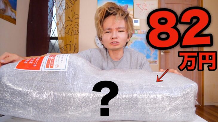 82万円する物を購入してしまった…【後悔】　　PDS