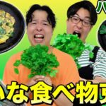 【好き嫌い克服】パクチー嫌いの兄弟に美味しいパクチー料理を作って克服させちゃおう！！