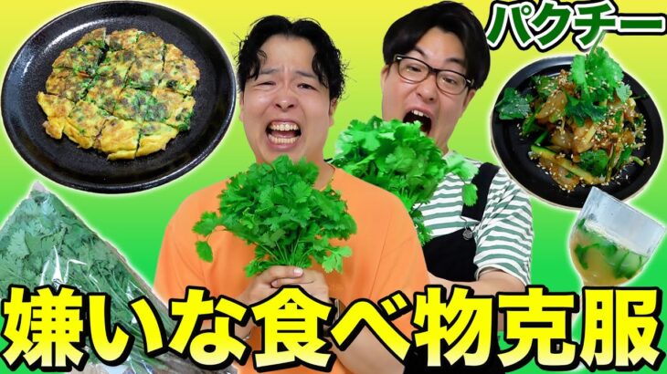 【好き嫌い克服】パクチー嫌いの兄弟に美味しいパクチー料理を作って克服させちゃおう！！