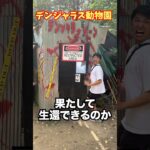 日本一キケンな動物園に行ってきたwww　funny video 😂😂😂　#shorts #ノースサファリ札幌