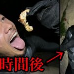 無人島で落ちてたヤドカリ食べたらアニサキスでMY脱落【無人島サバイバル#02】