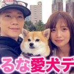 【癒し】ぎしるなで愛犬連れてお散歩したら可愛すぎて幸せでした。