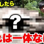 お爺ちゃんから譲り受けた未確認の土地を探しに行ったらとんでもないものが…！？