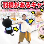 クレーンゲーム１万円で羽根のあるキャラだけ限界取りしたら一体何個取ることが出来るのか?!