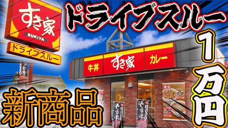 腰が痛すぎて動けないからドライブスルーの新商品だけで1万円食べ切るまで帰れません大食い！【マック、すき家、スタバ、モス】