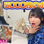 【高額】高級カードなど5000枚のポケカ全部売ったら金額ヤバすぎたwww【検証】