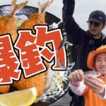 アジを釣りまくって無限にアジフライを食いたい！