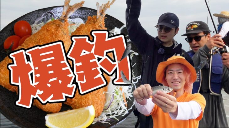 アジを釣りまくって無限にアジフライを食いたい！