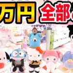 【サンリオ全部取る!!】クレーンゲーム3万円でサンリオキャラクター大賞TOP10を全部取りきることが出来るのか?!