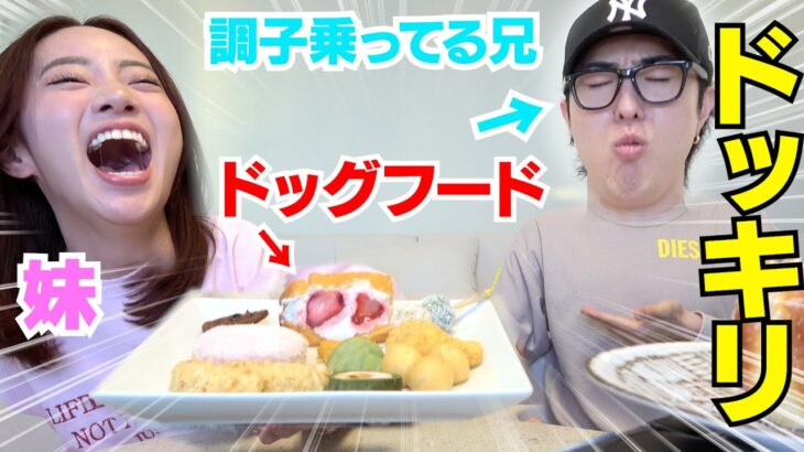 【ドッキリ】妹が兄にドックフードを手料理と嘘ついて食べさせたらやば過ぎたwwwww