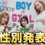 双子ちゃんの性別発表！！！！！