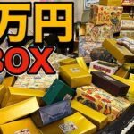 1万円BOXやら大量に買ってPS5を当てるぞーー【10周年】　　PDS