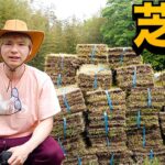 別荘の庭に大量の芝生を貼っていくぞー【地獄(´･ω･｀)】　　PDS