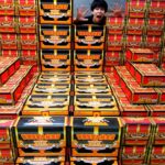 突然閉店するアピタに怪しい謎の箱が売られていたので全部買い占めました。