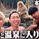 【秘境の地へ】サルと一緒に温泉に入りたい。