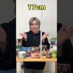 ドンキの商品でメジャーゲームやったら面白すぎたｗｗ【情熱価格】