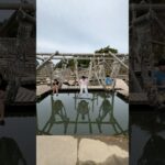 水上どすこいゲームでびしょびしょになったwww #shorts #グリーニア
