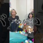 おバカな親友に突撃して小学生低学年向けクイズ出したらブチギレられたwwww #shorts #ドッキリ