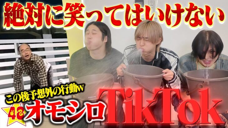 【天才】笑ってはいけないTikTokしてたら世の中に潜んでる稀に見る天才に出会ったwww