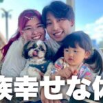 仕事も家事もない家族休暇で癒されすぎたので明日からもママ頑張ります