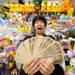 【衝撃】家に存在するおもちゃを全部売ったら何円になるの？
