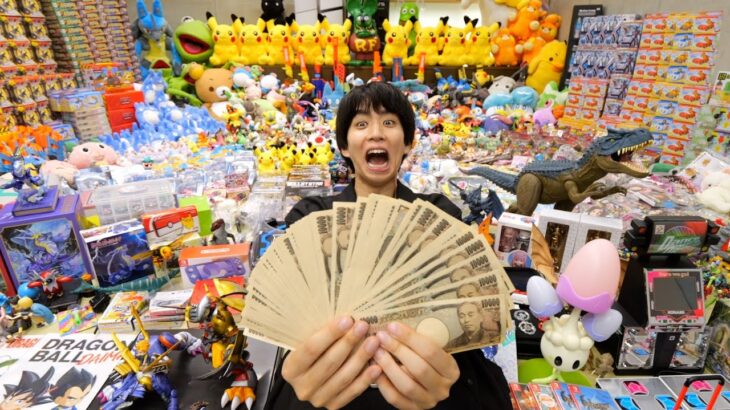 【衝撃】家に存在するおもちゃを全部売ったら何円になるの？