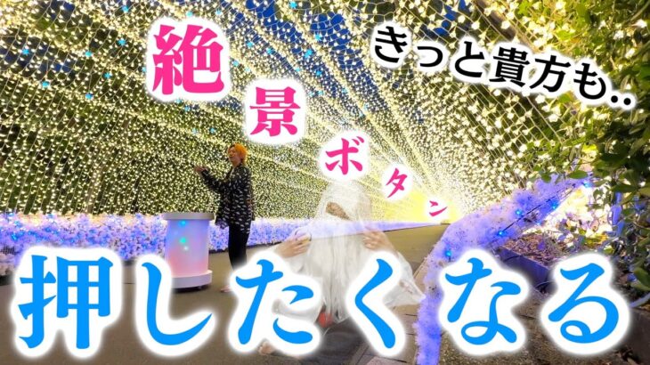 【ボタン仙人がいる】滅多に押せない(?)珍しいボタンを実際に押してきてどっちが羨ましいか決めようﾎﾟﾁﾎﾟﾁ..