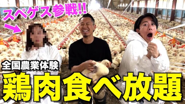 【驚愕】日本一の養鶏場を目指して超美人クリエイター連れて鹿児島行ったら壮大すぎた…