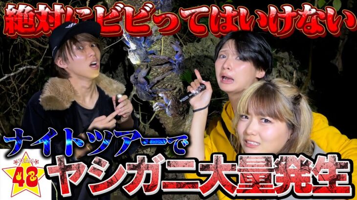 【恐怖】沖縄の絶対にビビってはいけないジャングルナイトツアーが恐ろしすぎた….