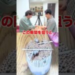 コスパ最強ゲームが想像以上に盛り上がったww #shorts